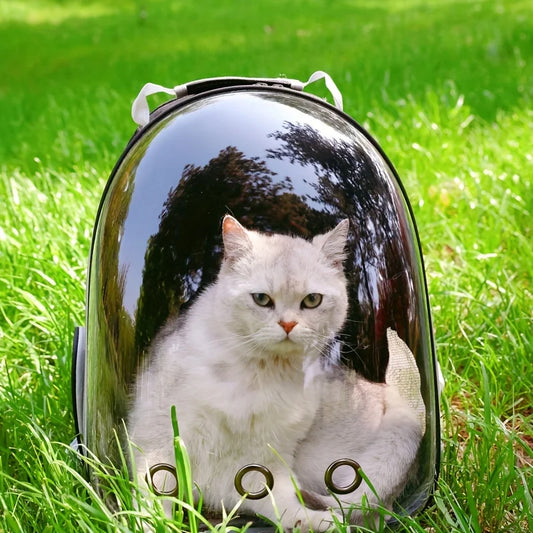 PawPod™Mochila capasula de mascotas